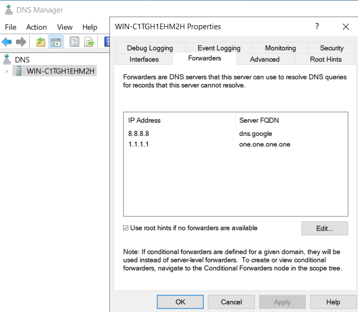 Windows DNS Manager showing public DNS forwarders