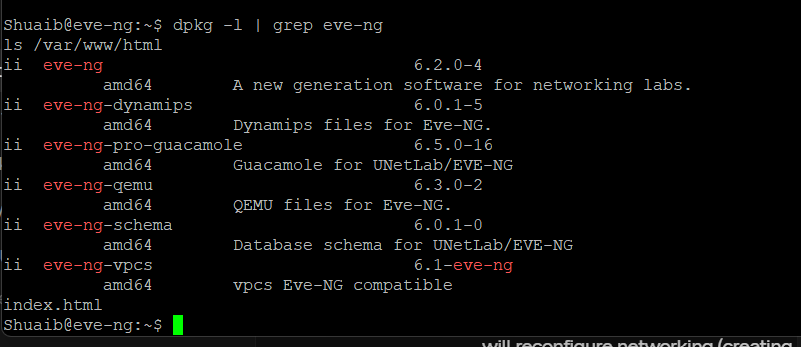 dpkg showing eve-ng packages installed