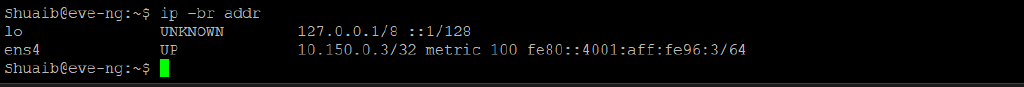 ip -br addr showing ens4 with 10.150.0.3 and no pnet0