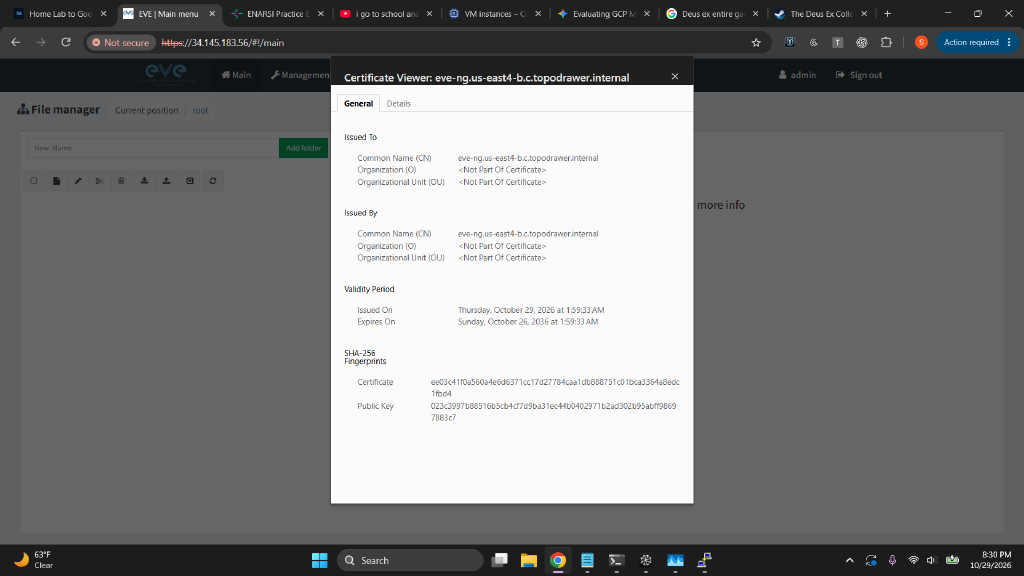 EVE-NG over HTTPS with a self-signed certificate
