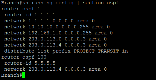Branch router OSPF configuration